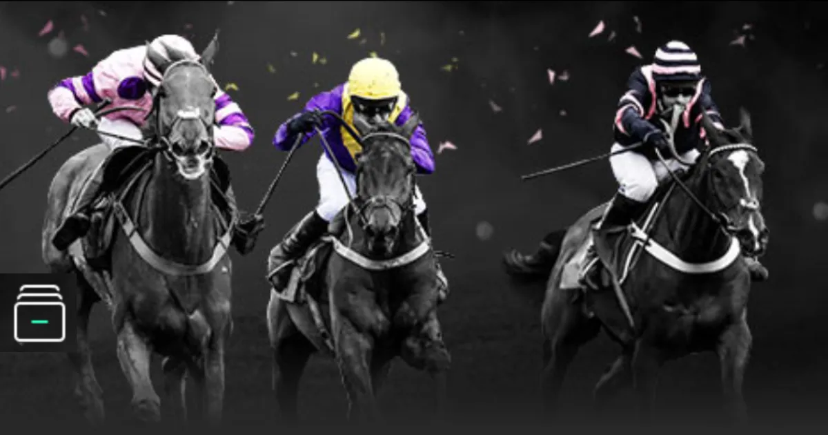 记录篇,众多,孤儿药,世界杯投注,2026世界杯,投注技巧,赛事分析,胜负预测