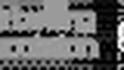 体教融合成果显著，国球热情高涨，青春球场梦想飞扬，少年逐梦砥砺前行。